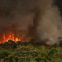 Queimadas fazem desmatamento crescer 92% na Amazônia em maio