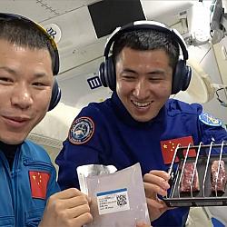 China inaugura churrasco espacial: asas de frango e bife ganham sabor em órbita