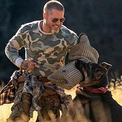 Brad Pitt e Bruna Linzmeyer são destaques nas estreias do cinema