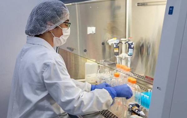 Anvisa aprova início dos testes em humanos da vacina do Butantan contra gripe aviária