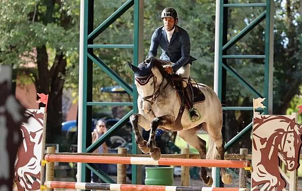 Final do hipismo em MS reúne mais de 300 atletas e destaca força crescente da modalidade no Estado