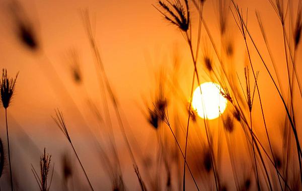 Mato Grosso do Sul enfrenta calor extremo neste sábado (29)