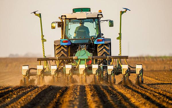 Boletim da Conab aponta avanço da semeadura e boas condições para a soja e demais cultivos