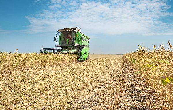Governo publica novas regras e prioridades para financiamentos no setor rural