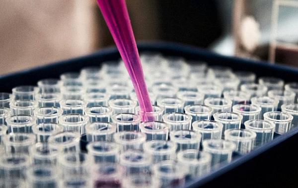 Uso da inteligência artificial aumenta a produção de artigos científicos, diz pesquisa