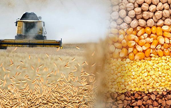 Agro cresce 11,7%, impulsiona PIB e ganha participação na economia