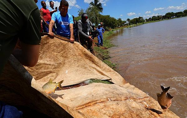 Prefeitura solta 3 toneladas de peixes no Parque Antenor Martins para 2ª Festa da Páscoa