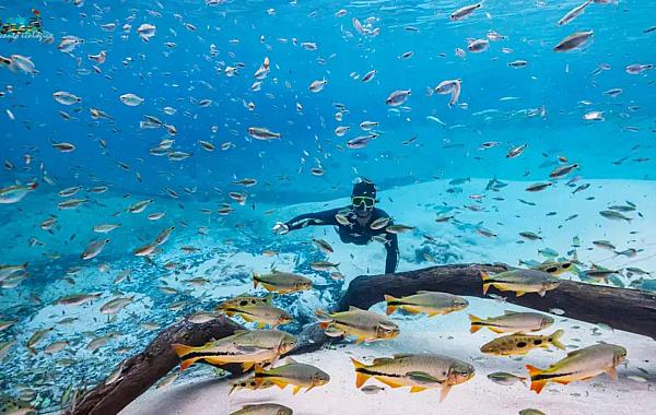 Atrativos de MS ganham prêmio internacional por conservação e ação climática