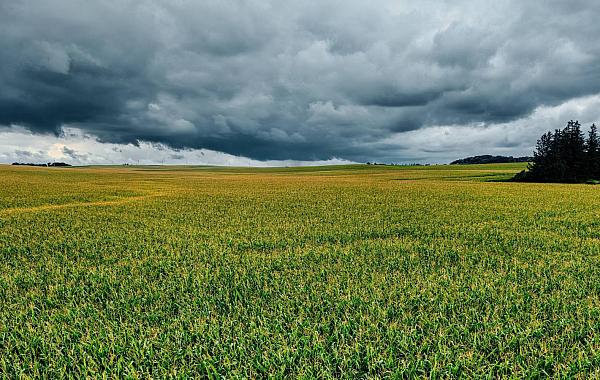 Segunda-feira (27) de chuvas no Centro-Oeste