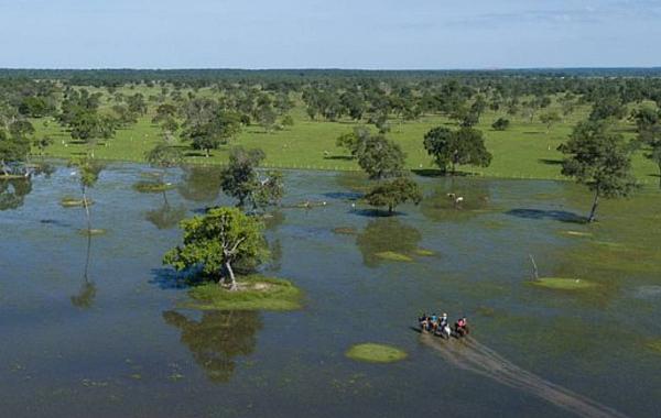Mesmo com chuvas, Pantanal tem cheia fraca em 2026 e preocupa especialistas