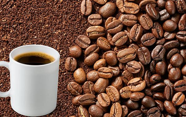 Brasil deve registrar safra recorde de café em 2026 com produção de 66,7 milhões de sacas