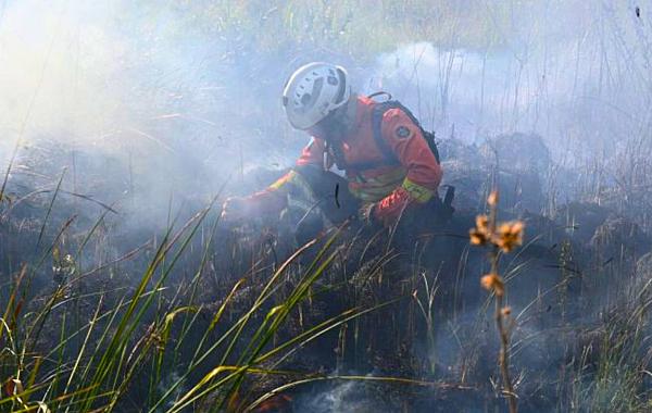 Decreto de emergência ambiental reforça preparação do Governo de MS para enfrentamento a incêndios florestais