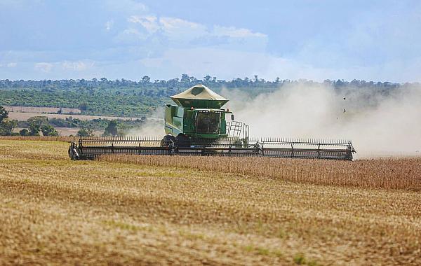 Soja: Demanda por biocombustíveis reconfigura o esmagamento nos EUA