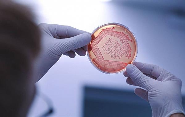 A descoberta que pode mudar o futuro dos bioinsumos
