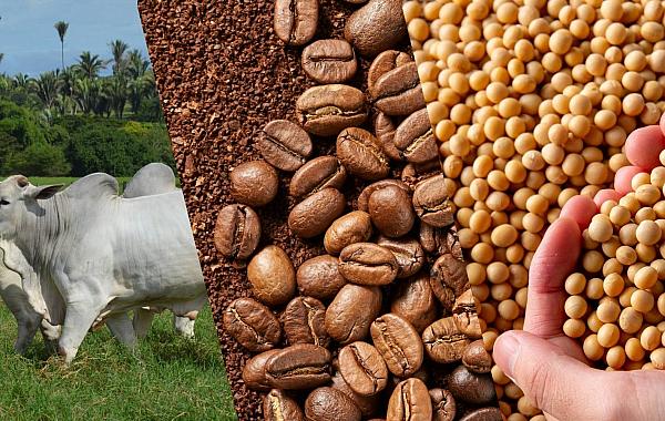 Café, boi e soja: como o mercado internacional influencia o preço no Brasil