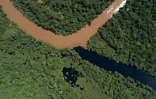 Produtores se opõem à criação de refúgio ambiental em Mato Grosso do Sul