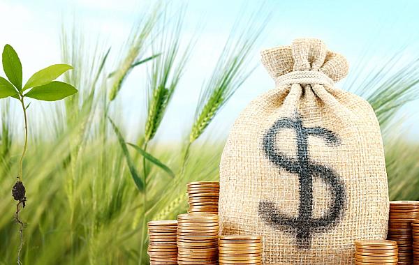 Especialista vê melhora pontual no crédito rural