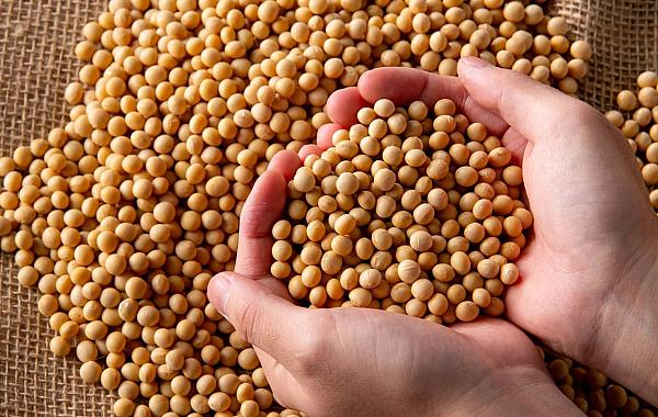 Consultoria aponta grande mudança no agro até 2031