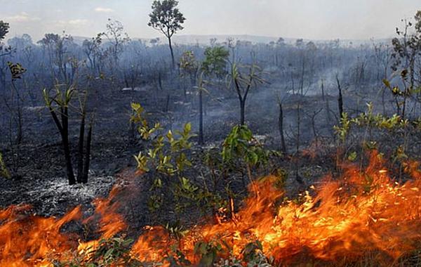 Queima controlada fica suspensa em Mato Grosso do Sul a partir de 1º de agosto