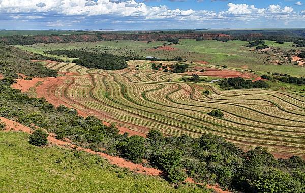 Pantanal reduz desmatamento em 65% e Cerrado tem queda de 11,5%
