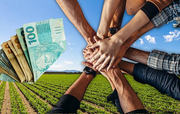 Cooperativismo amplia competitividade no agronegócio
