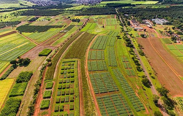 Novo seguro rural pode ampliar proteção para produtores de MS