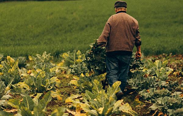 Renegociação de dívidas rurais ainda enfrenta dificuldades, aponta bancada do agro