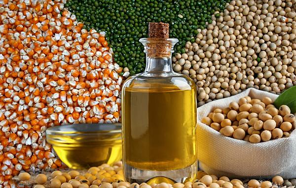 Mercado agrícola tem movimentos diferentes entre soja, milho e trigo