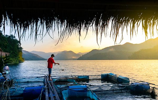 Confira o que muda no licenciamento ambiental da aquicultura