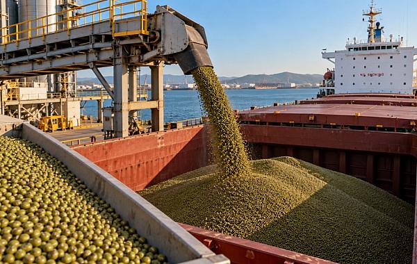 Brasil amplia mercados para produtos agropecuários em seis países